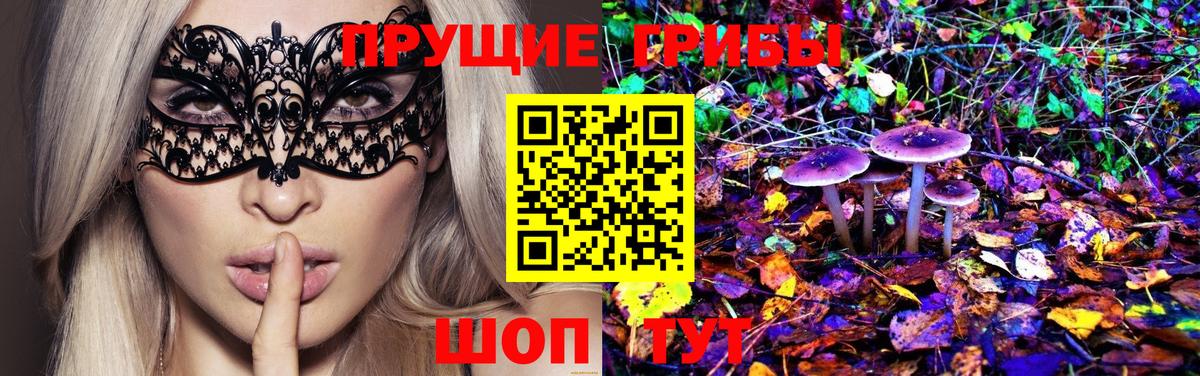 Минусинск  Галлюциногенные грибы GOLDEN TEACHER  Вход с VPN  Псилоцибиновые грибы Cubensis 